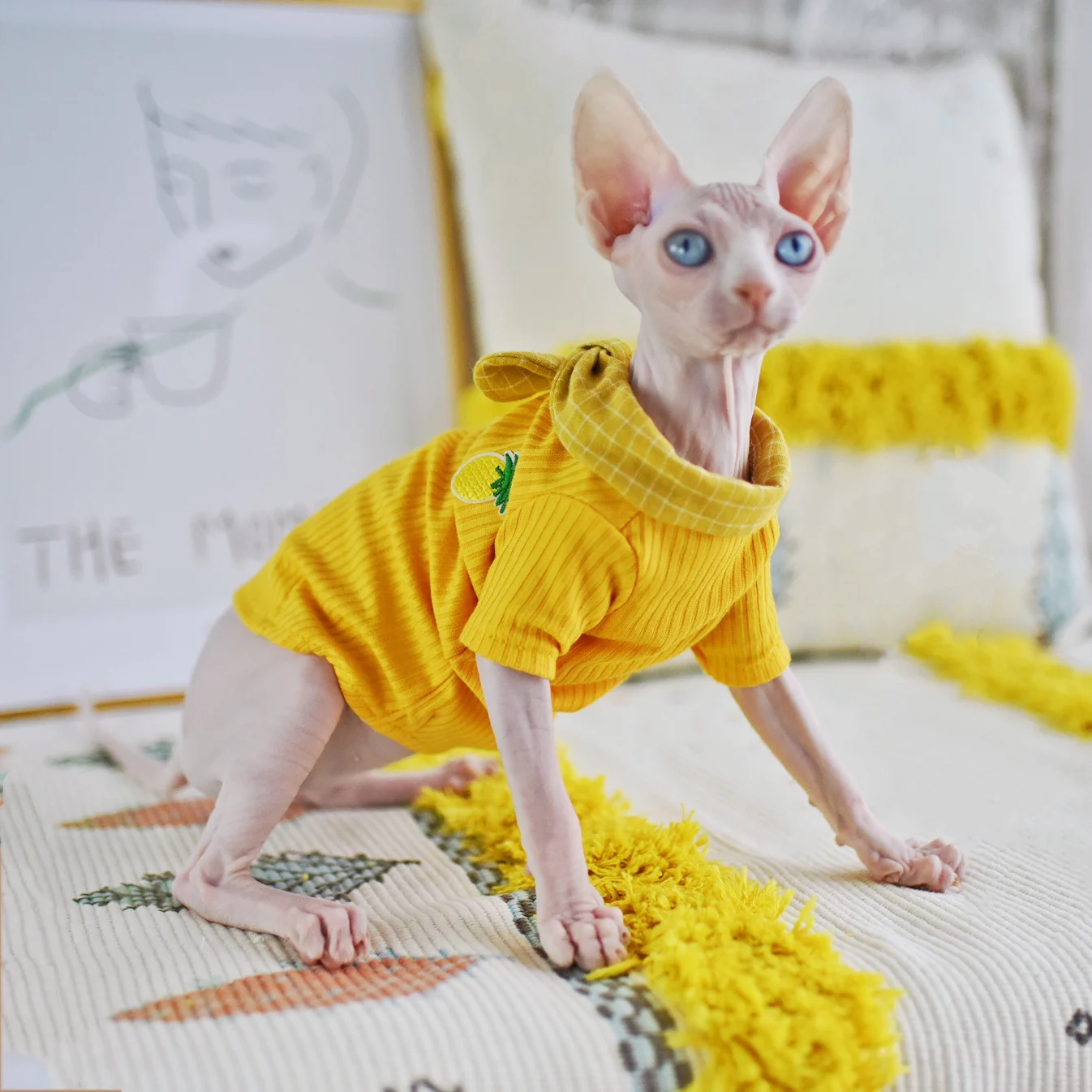 

FSS Hairless Kitty Shirt Bottoming Clothes for Cat Spring Autumn Outfits Sphinx Bald Cat Clothing for Sphynx Cat Apparel