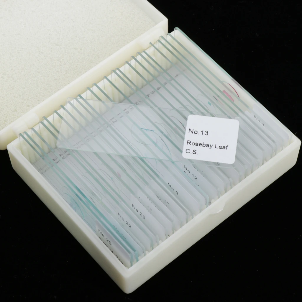 

25 шт. слайды подготовленные для микроскопа крышка Стекло покровное стекло шлепанцы без задника с открытыми пальцами образца