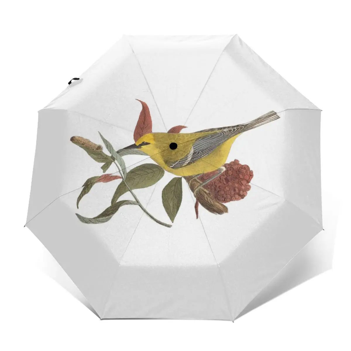 Зонт с крыльями автоматический зонт защитой от ветра уникальный дизайн складной