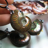 natural stone ammonite pendant marine fossil minerals and specimens free necklace fengshui reiki healing energy men gift
