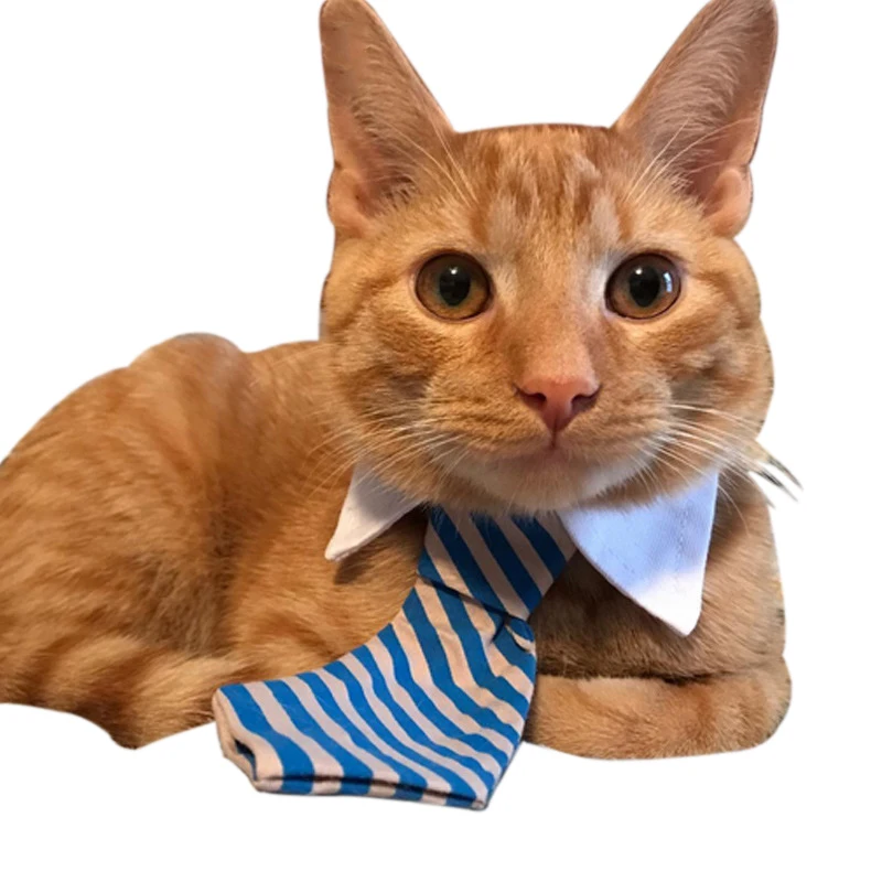 20 стилей галстук для щенка полосатый бабочка питомца забавная кошек собак