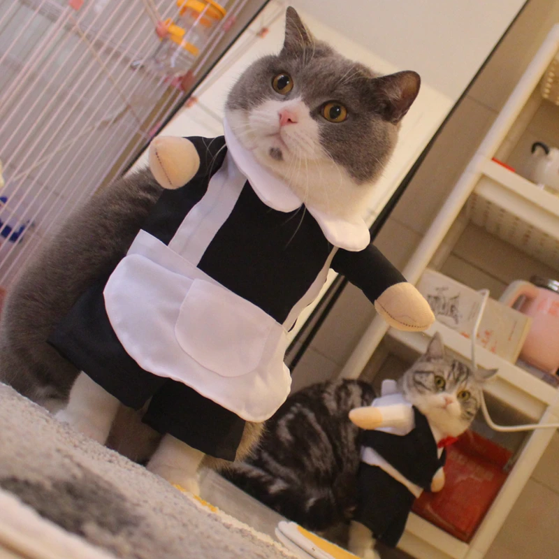 

Классный костюм кошки на Хэллоуин, 3 размера в наличии