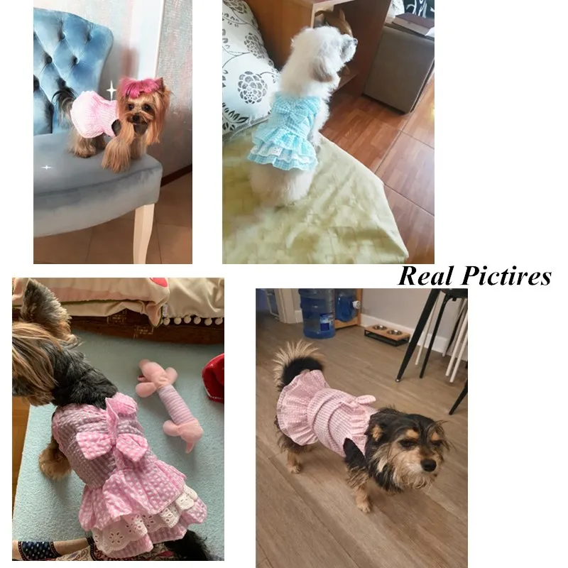 Женское платье без рукавов для маленьких собак | Дом и сад