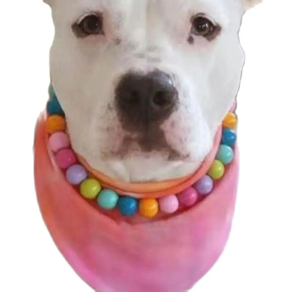 

Stylish Pet Necklace Glossy Delicate Pet Collar Beautiful Pet Dogs Beads Collar
