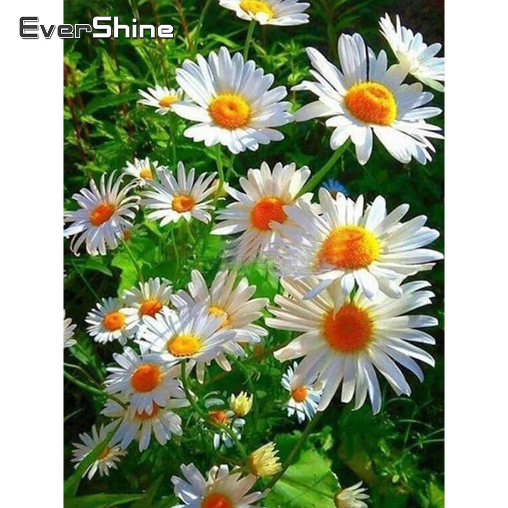EverShine 5D алмазов картина полный дрель квадратный Дейзи картины мозаики из