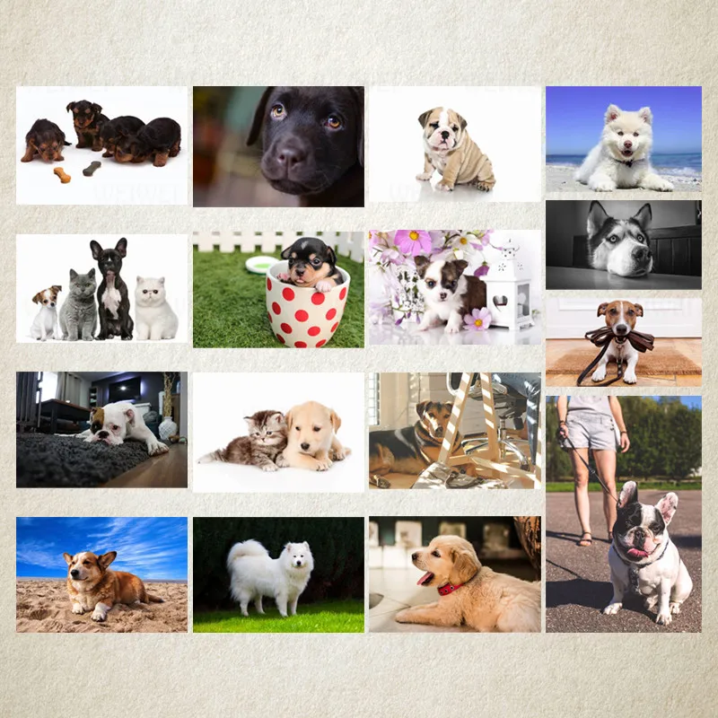 

Dog Picture Dog Diamond Painting Full Round Drill Colourful 5D Diamond Embroidery Mosaic Animal Art Kit Decorations Home Decor