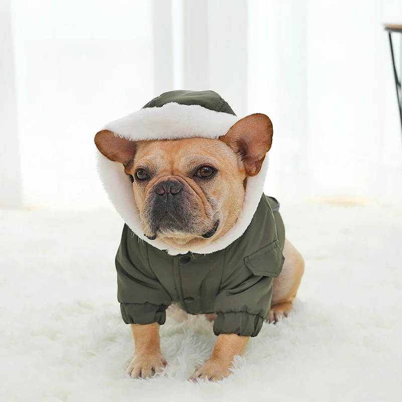 HOOPET Новые Pet Одежда с принтом в виде собак Тедди одежда VIP собака теплая на