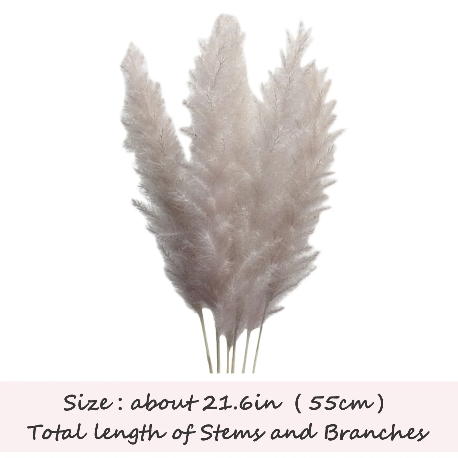 

5pcs Pampas Grass Natural Dried Flower Plants Home Wedding Party Xmas Grass Bouquet Reed Decor Real Pampas Merry Plant #N4
