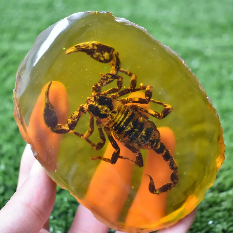 Китайская Коллекционная редкая Янтарная внутренняя инкрустация животных