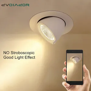 Светодиодный потолочный светильник с регулируемой яркостью, поворот на 360 градусов, потолочный светильник для столовой, гостиной, точечные светодиодные светильники