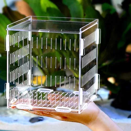 Аквариумная коробка для разведения акриловая изолирующая аквариума