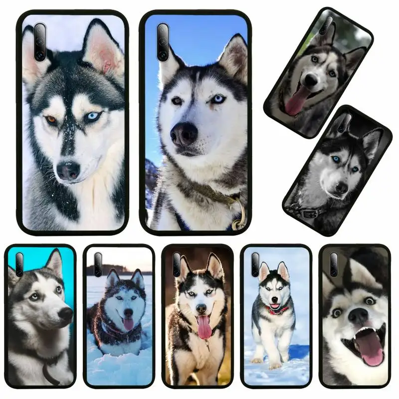

Husky Phone Case For Huawei Honor View V 5 7 8 9 10 20 30 X S Play Lite Pro Cover