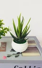 Искусственное суккулентное растение в горшках бонсай зеленый маленькие древовидные искусственные цветы в горшках для дома вечерние отель растений украшения Декор для сада