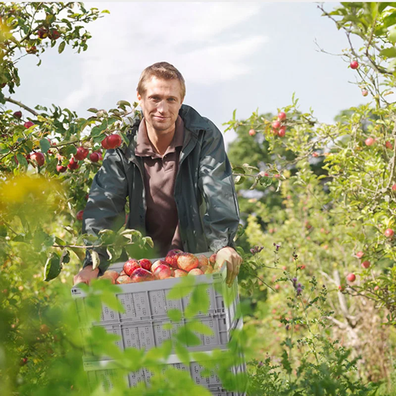 Автомобильный складной ящик для хранения автомобильный органайзер