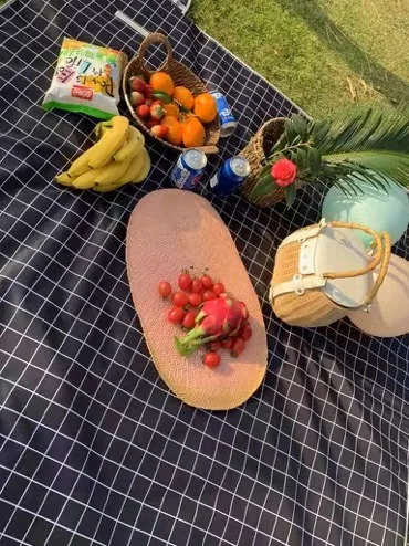 

picnic mat portable ultra-light seaside supplies travel beach mat camping moisture-proof mat waterproof mat PVC