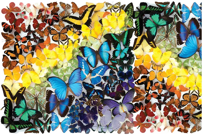 

Puzzles 1000 Pieces Jigsaw Puzzles Educational Toys Scenery Succulent flower Educational Puzzle Toy for Kid/Adults birthday Gift