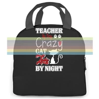 teacher by day crazy kitten lady by night female harajuku kawaii brand harajuku punk women men portable insulated lunch bag