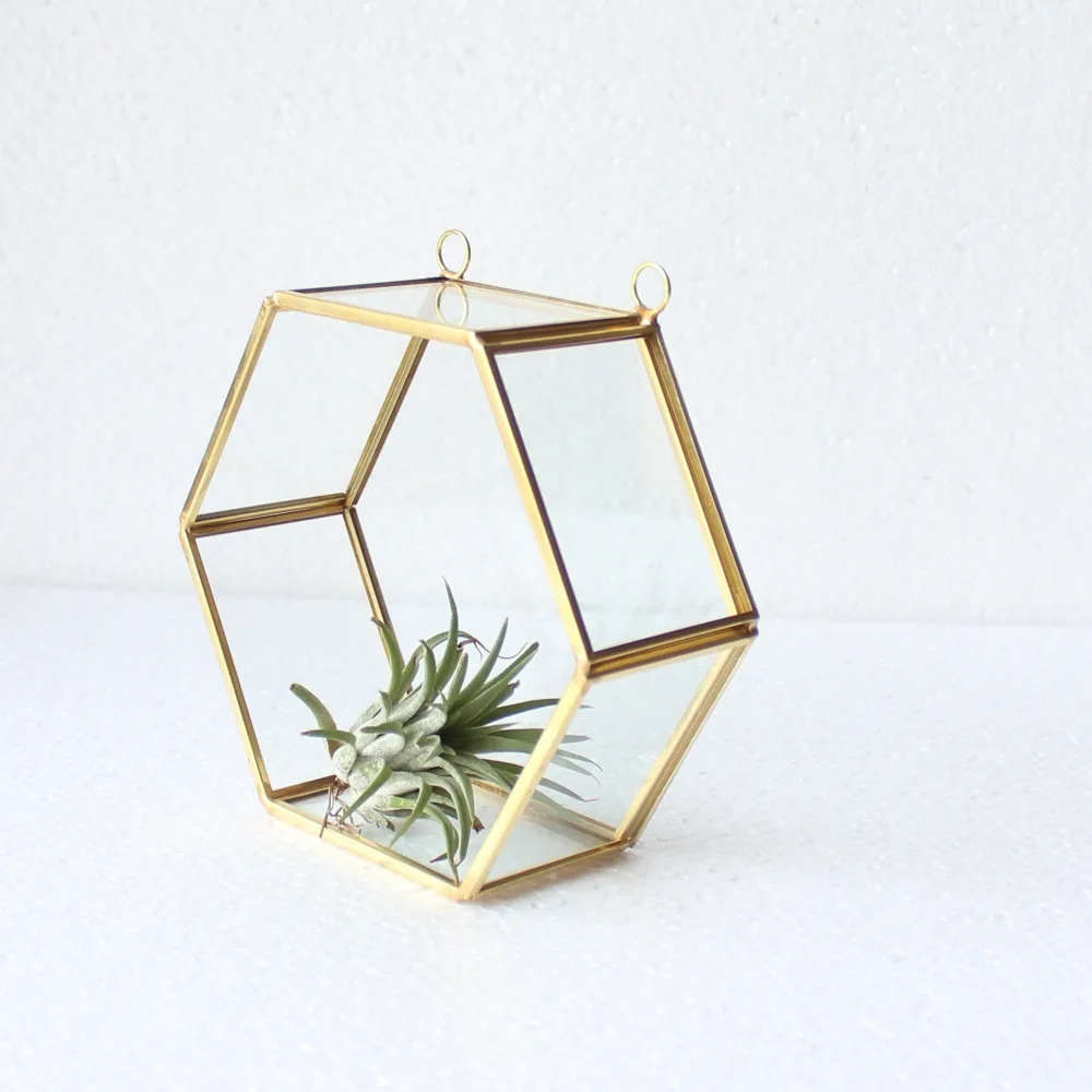 Классическое геометрическое стекло Террариум настенный парниковый цветок