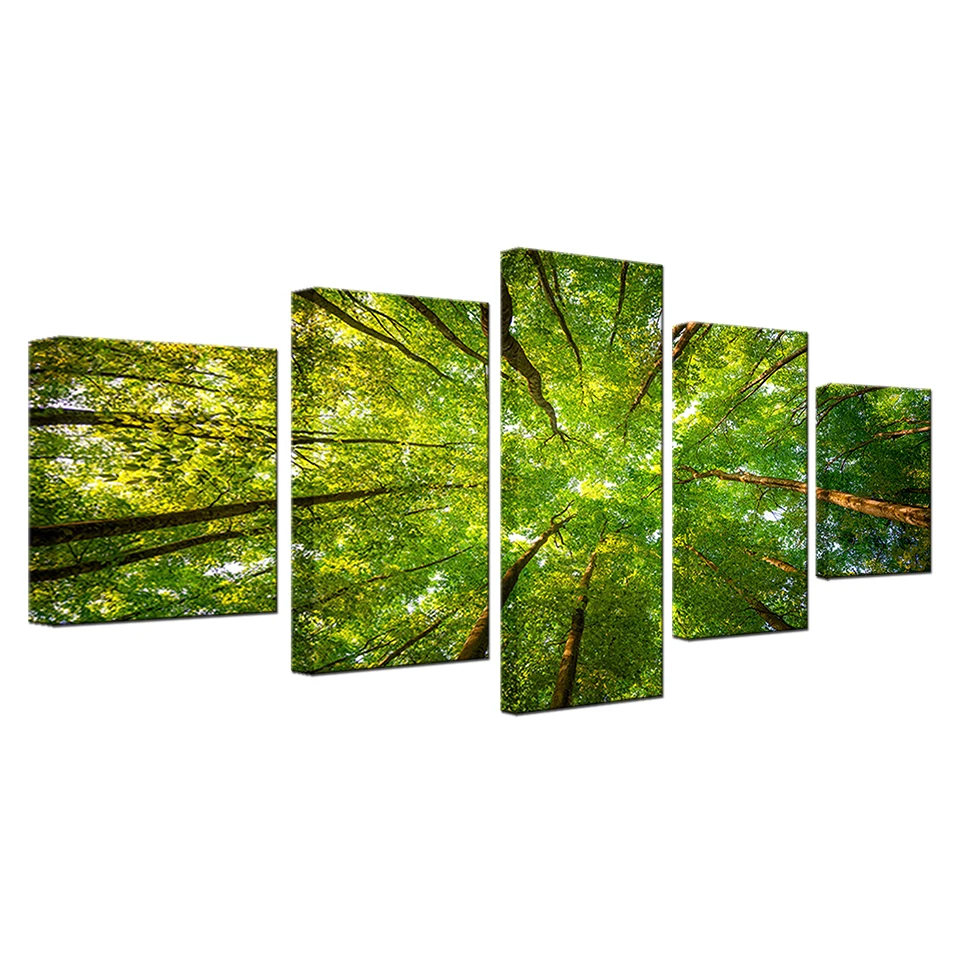 

Home Decor Canvas Pictures Framework HD Prints Poster 5 Pieces Green Sunshine Woods Trees Paintings Modular Living Room Wall Art