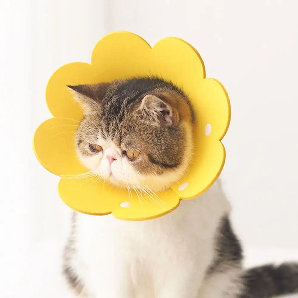 

Hot Sales!!!Protective Collar Flower Design Anti-lick EVA Cat Protective Collar for Indoor