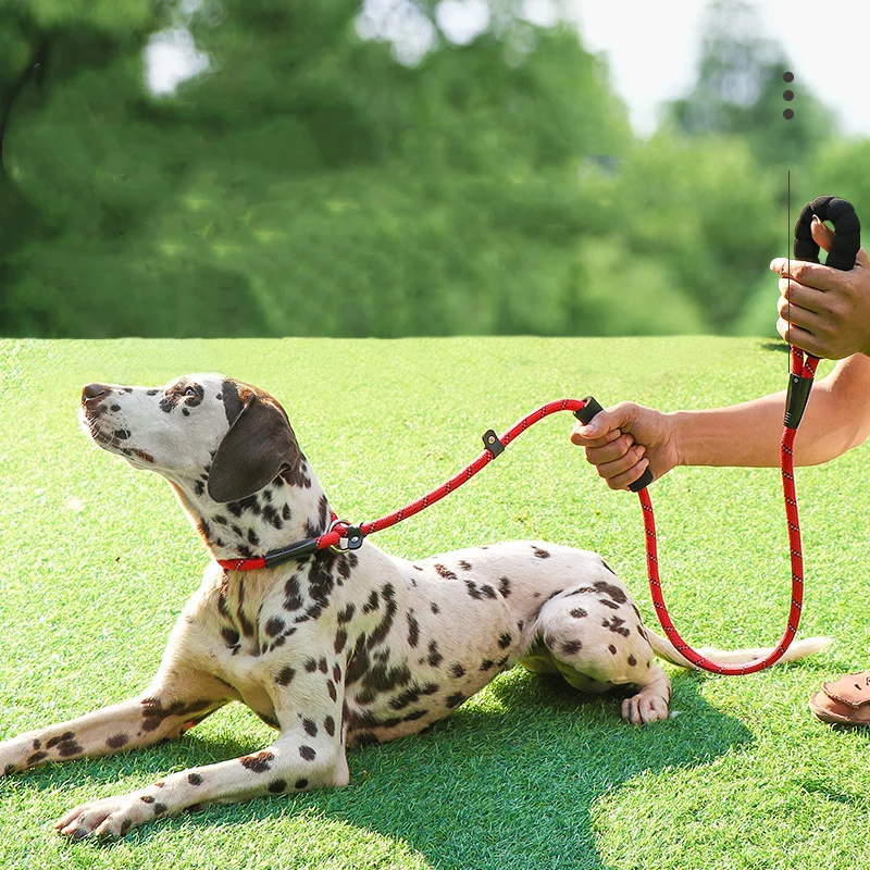 150cm Quality Dog Leash Collar Nylon Rope  Adjustable Dog Collar Thick Leash For Large Big Dog Medium Pet Supplies Leash Product
