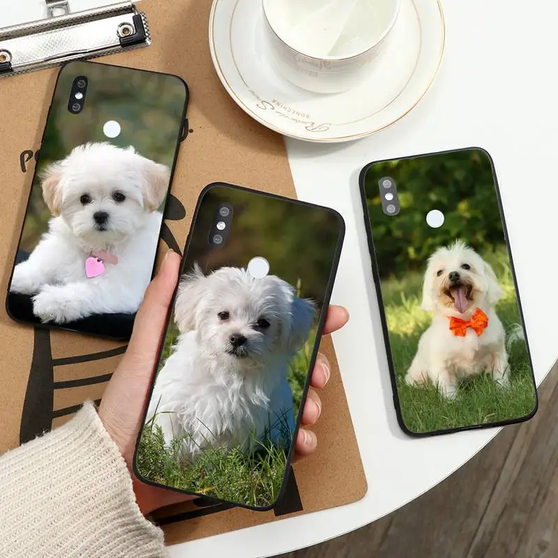 

Maltese Dog Puppy cute animal Phone Case For Xiaomi Redmi note 7 8 9 11 t s 10 A pro lite funda shell coque cover