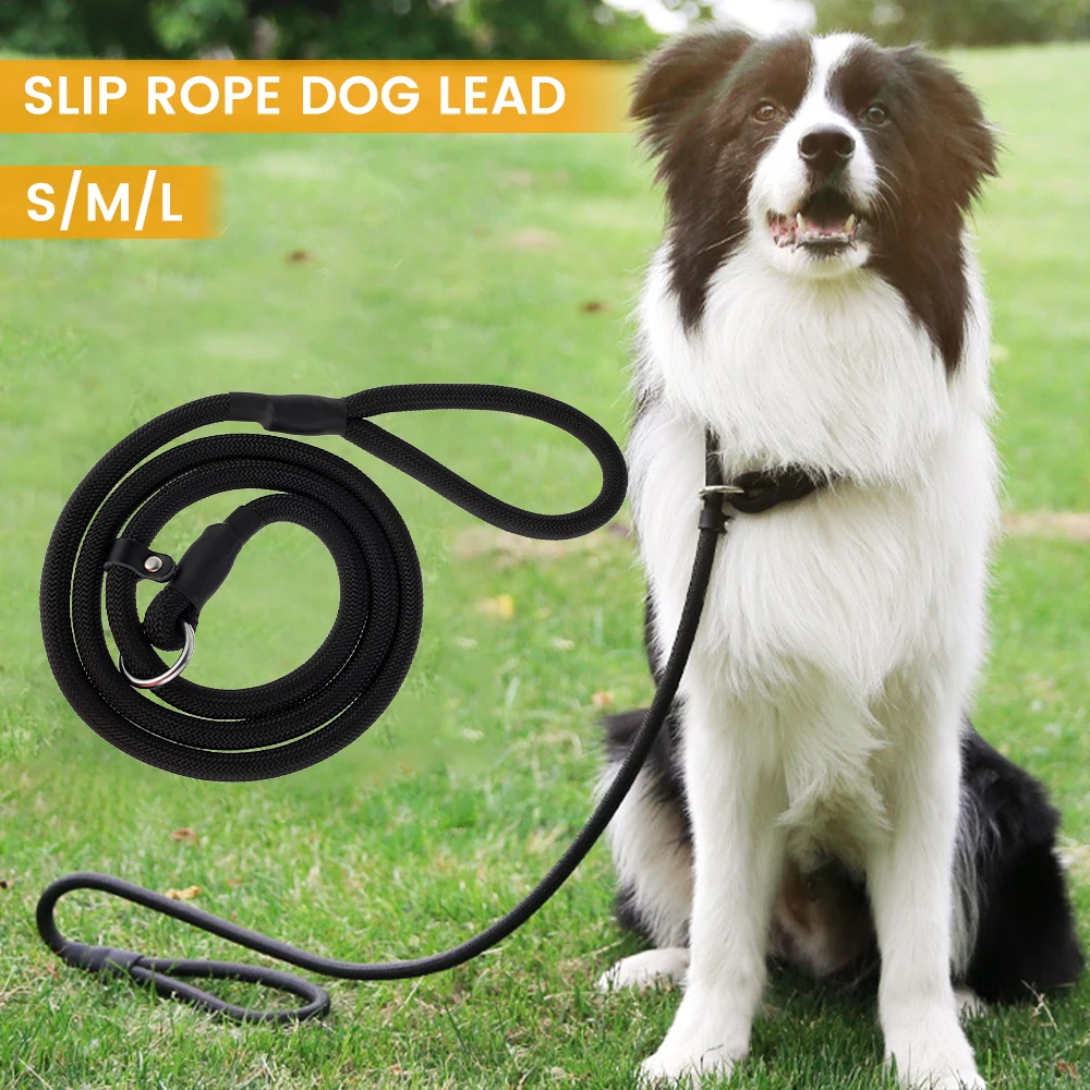 

Black Dogs Slip Rope Leash Training Leashes Adjustable Leash Climbing Nylon Rope Dog Leash for Small Medium Large Dogs Walking