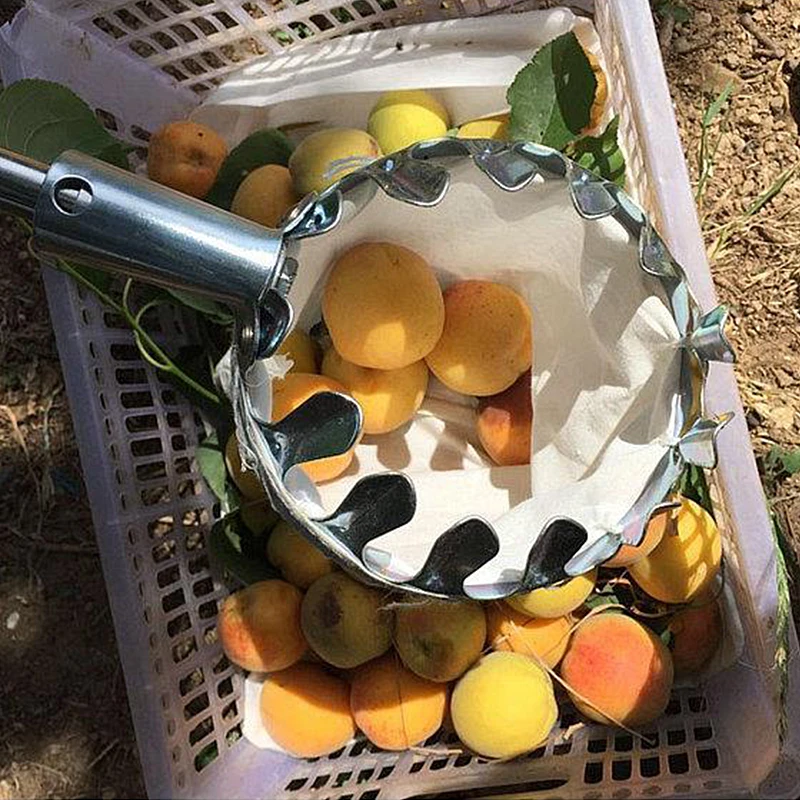 Fruit Picker Metal Agricultural Garden Hardware Tools Altitude Fruit Picking Device for Fruit Picking In The Orchard Garden