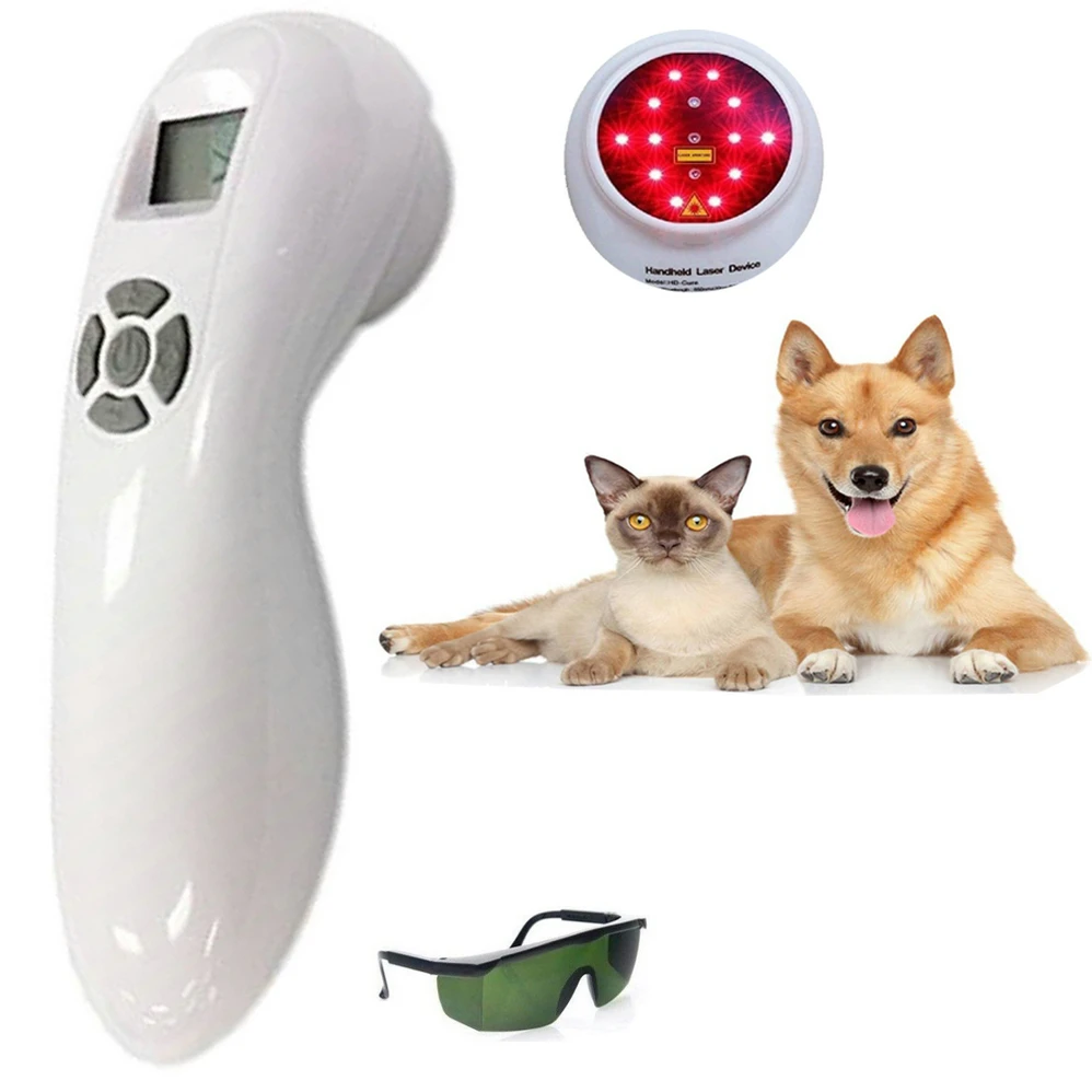 Ветеринарное использование домашние животные Собака Кошка Лошадь клиника ран