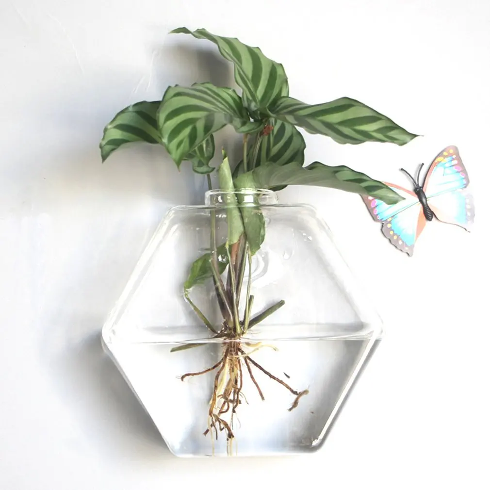 

Wall Hanging Hydroponic Glass Vase Transparent Fish Tank Green Plant Plant Pot Creative Home Wall Hanging Decorations