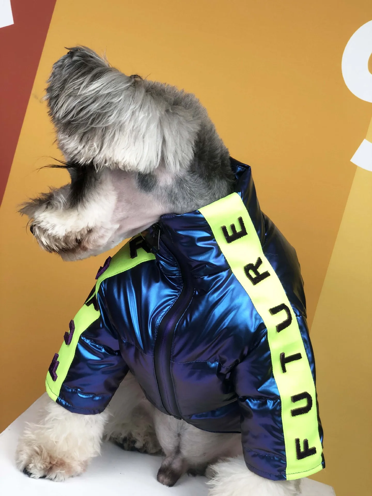 

Luxury Dog Clothes Warm Autumn Winter Thick Down Jacket, Small and Medium-sized Teddy Schnauzer Pomeranian High-end Pet Clothes