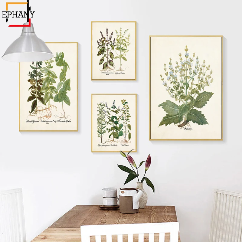 

Antique Herbs Print Botanical Wall Art Home Decor Kitchen Giclee Posters Canvas Painting Green Plant for Dinning Room Decoration