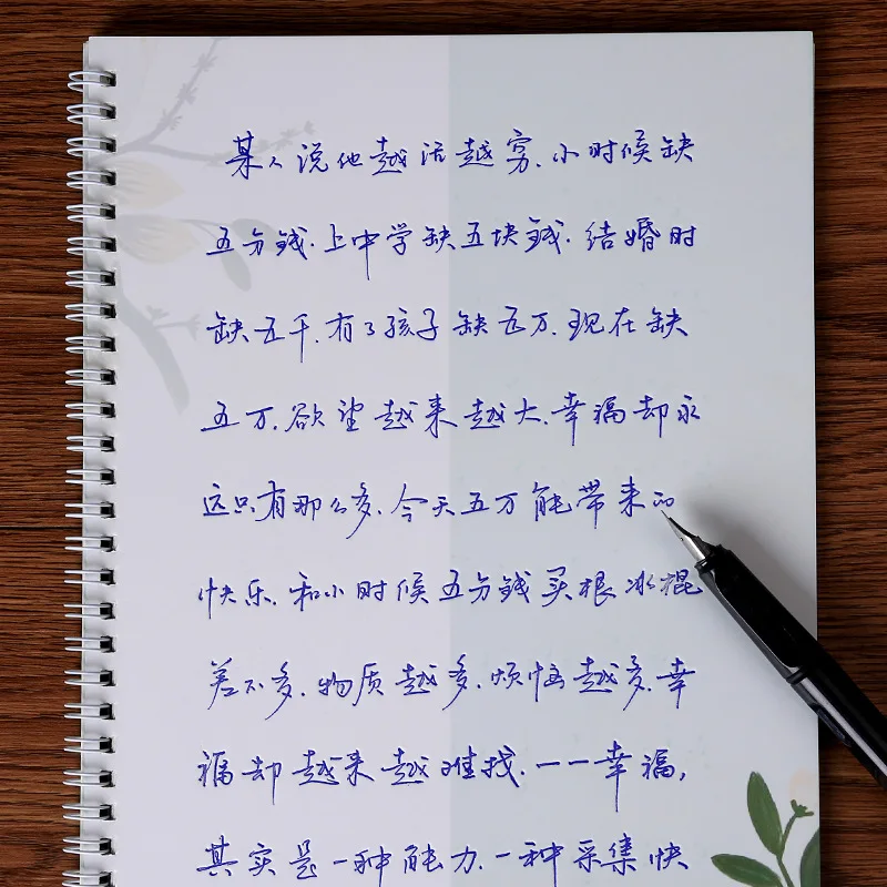Тетрадь для каллиграфии многоразовая со стираемыми китайскими иероглифами 3 шт. |