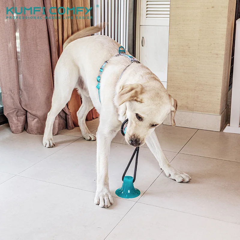 Интерактивная игрушка для собак на присоске TPR мяч игрушки эластичные веревки