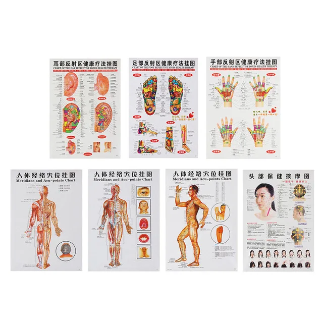 7pcs chart of meridian acupuncture point health therapy Massage holographic acupoints Medical Scrapping in Chinese-English