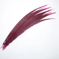 100pcs rose high quality lady amherst pheasant tail feathers for crafts 24 28inch60 70cm carnival party diy decoration plume