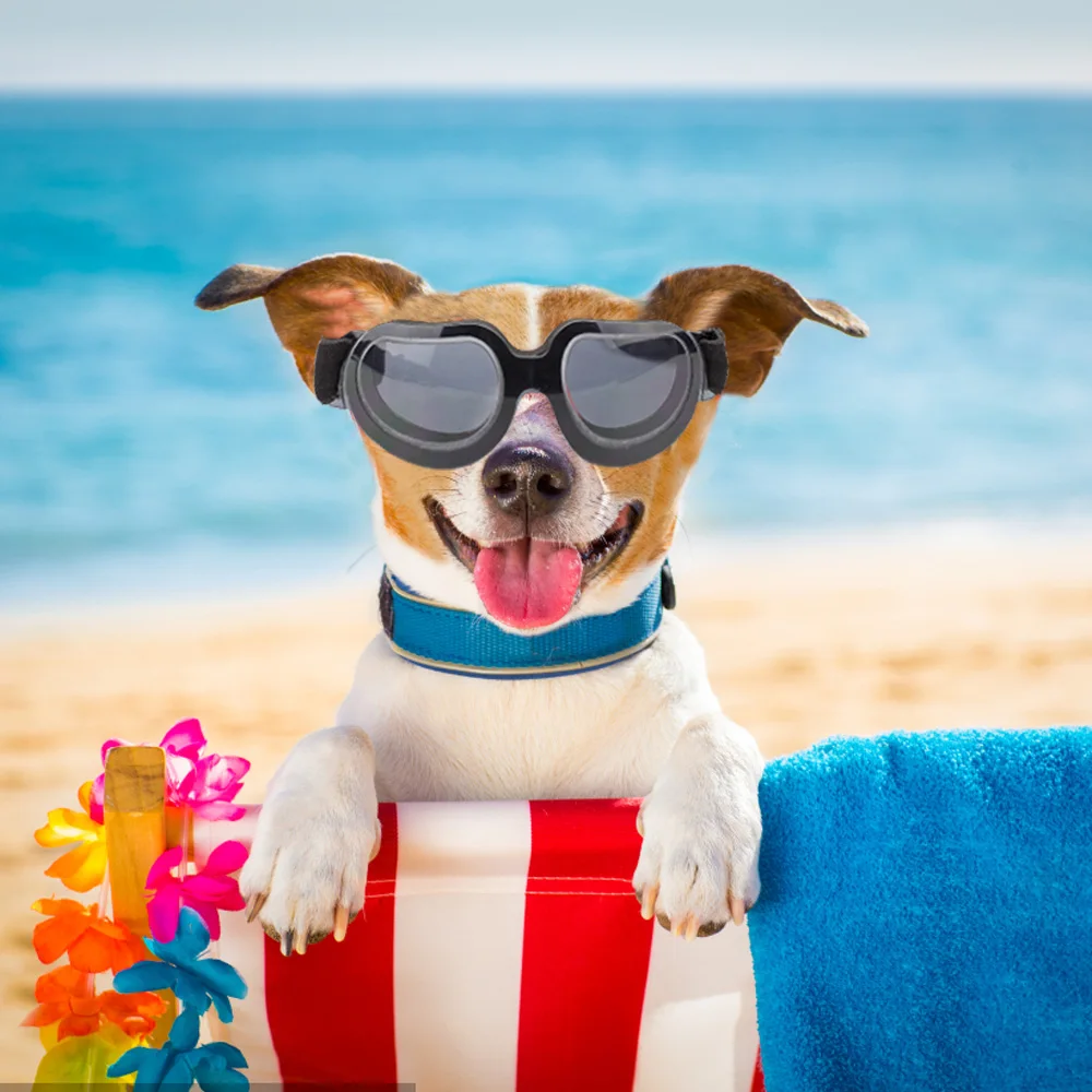 

Dog Goggles Glasses for Sun Protection Eye Wear Waterproof Windproof Protection Pet Sunglasses for Medium-Sized, Small Dogs Cats