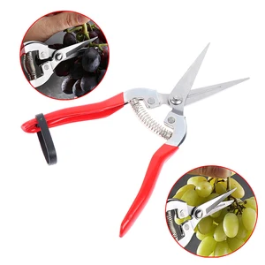 Garden Pruning Shear High Carbon Steel Scissors Grafting Bonsai Tool Fruit Tree Flowers Branch Pruner Trimmer Garden Tools 10 item image