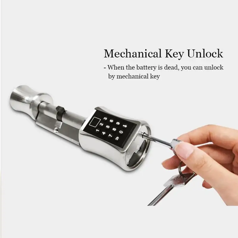 Dreamburgh New Smart Cylinder Lock Keyless Electronic Door Digital Fingerprint Keypad Code Electric with Voice Prompt | Обустройство
