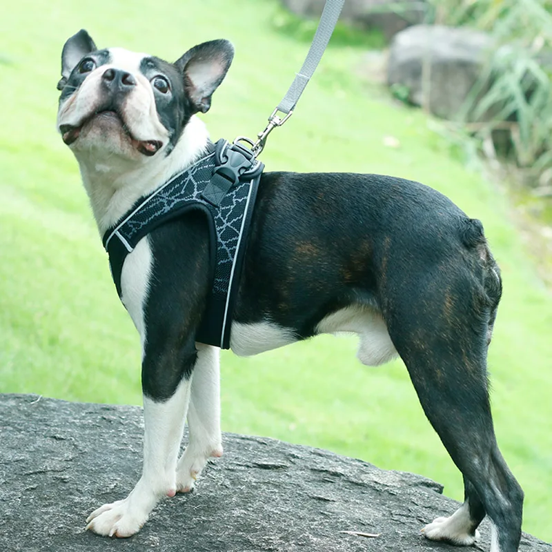 

Pet Dog Leads Chest Straps Comfortable Harnesses Vest Dog Harness Collar For Large Medium Small Dogs Pet Accessories correa perr