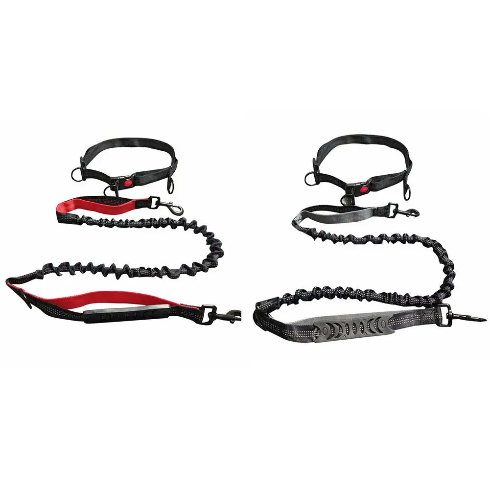 Pet Dog Cat Running Jogging Padded Waist Belt Reflective Strip Elastic Leash Perfect Walking Training Set | Дом и сад