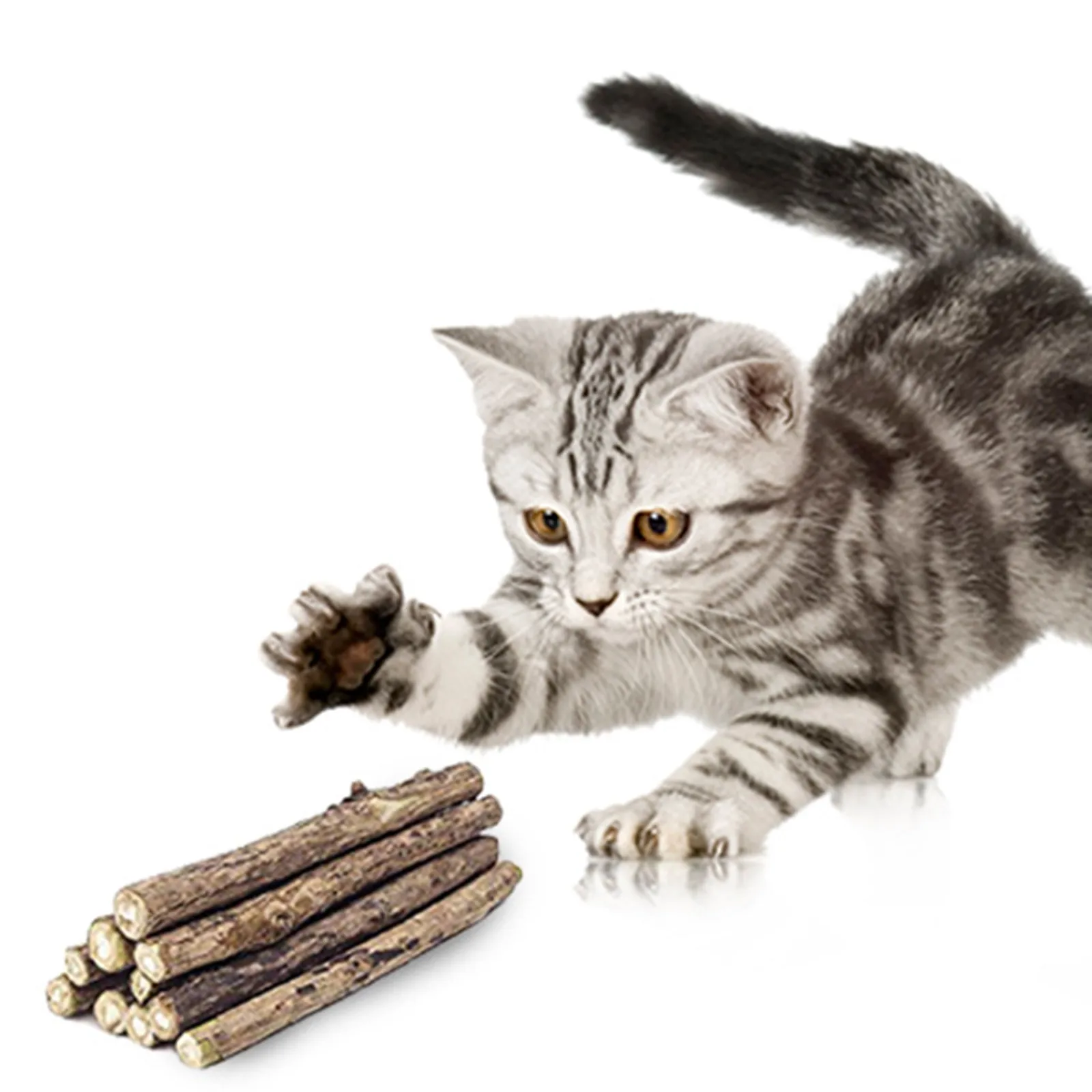 

5 Different Color Catnip Plush Toys Plus 10 Catnip Sticks Pet Toy Set