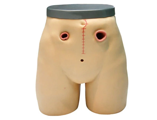 Клинический медицинский обучающий симулятор для ухода за фистулой|model swan|modeling