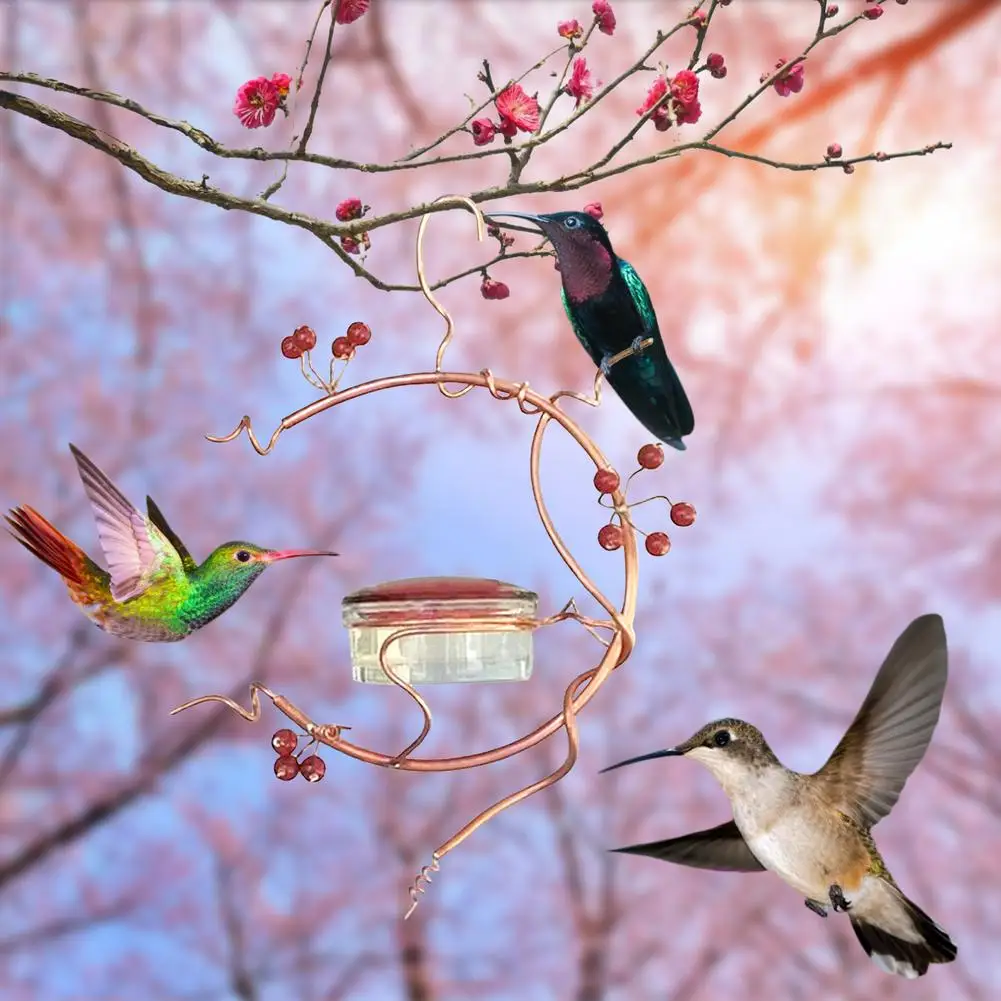 Горячая распродажа! Детская кормушка для птиц красные ягоды Кормушка Для Колибри