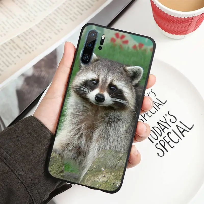 

animal Raccoon Phone Case For Huawei honor Mate P 9 10 20 30 40 Pro 10i 7 8 a x Lite nova 5t