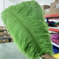 sale 20 50pcslot fluffy green ostrich feathers for crafts 26 28inches65 70cm diy decoration supplies wedding dancers feather