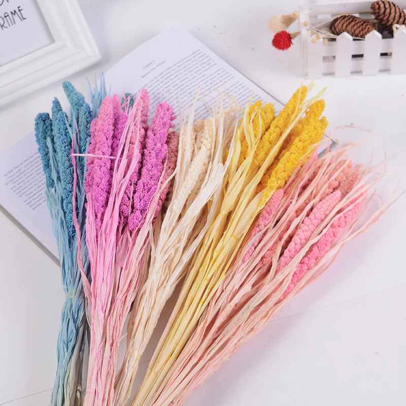 10 шт. Натуральные сушеные цветы зерно пшеничные уши букет Искусственные семья