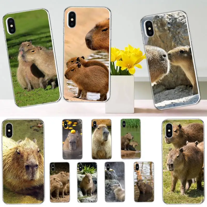 

day6 Korean boy band Phone Case Transparent soft For iphone 12 11 13 7 8 6 s plus x xs xr pro max mini