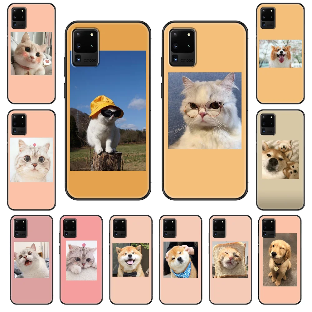 Милые носки с изображением кошки собаки чехол для телефона Samsung Galaxy S 3 4 5 6 7 8 9 10 E