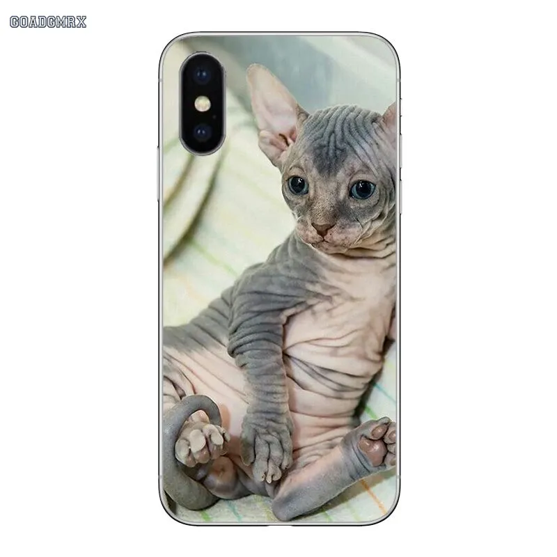 Sphynx Cat Luxury Cover For iPhone 11 X XR XS Pro MAX 4 4S 5 5S SE 5C 6 6S 7 8 Plus Transparent Soft Shell Covers | Мобильные